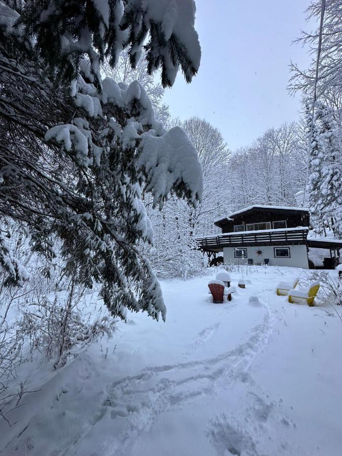 Chalet Dans Les Arbres. 3 Ch. /Trees House 3Bdr Lac Sainte-Marie 외부 사진